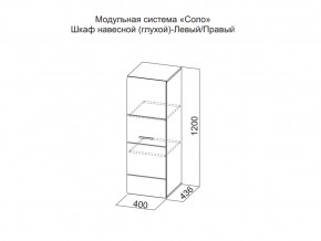 Шкаф навесной (глухой) Левый в Копейске - kopejsk.магазин96.com | фото