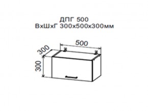Шкаф верхний ДПГ500 горизонтальный в Копейске - kopejsk.магазин96.com | фото