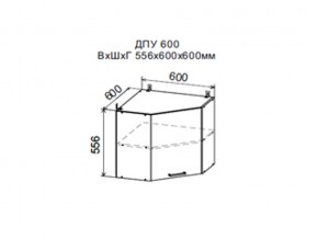 Шкаф верхний ДПУ600 угловой в Копейске - kopejsk.магазин96.com | фото